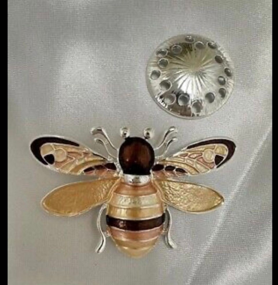 Magnetic brooch-2